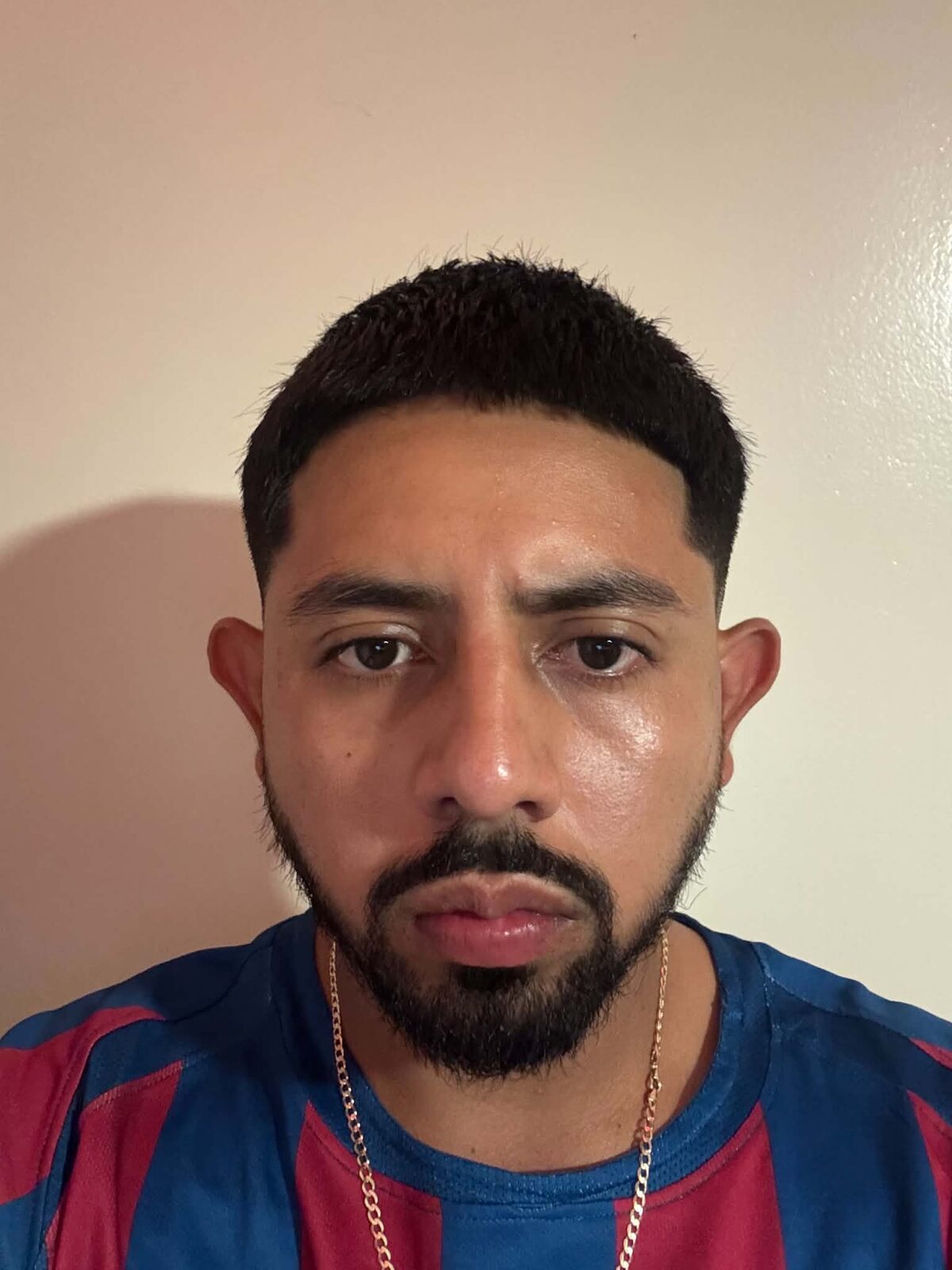 Angel Meneses